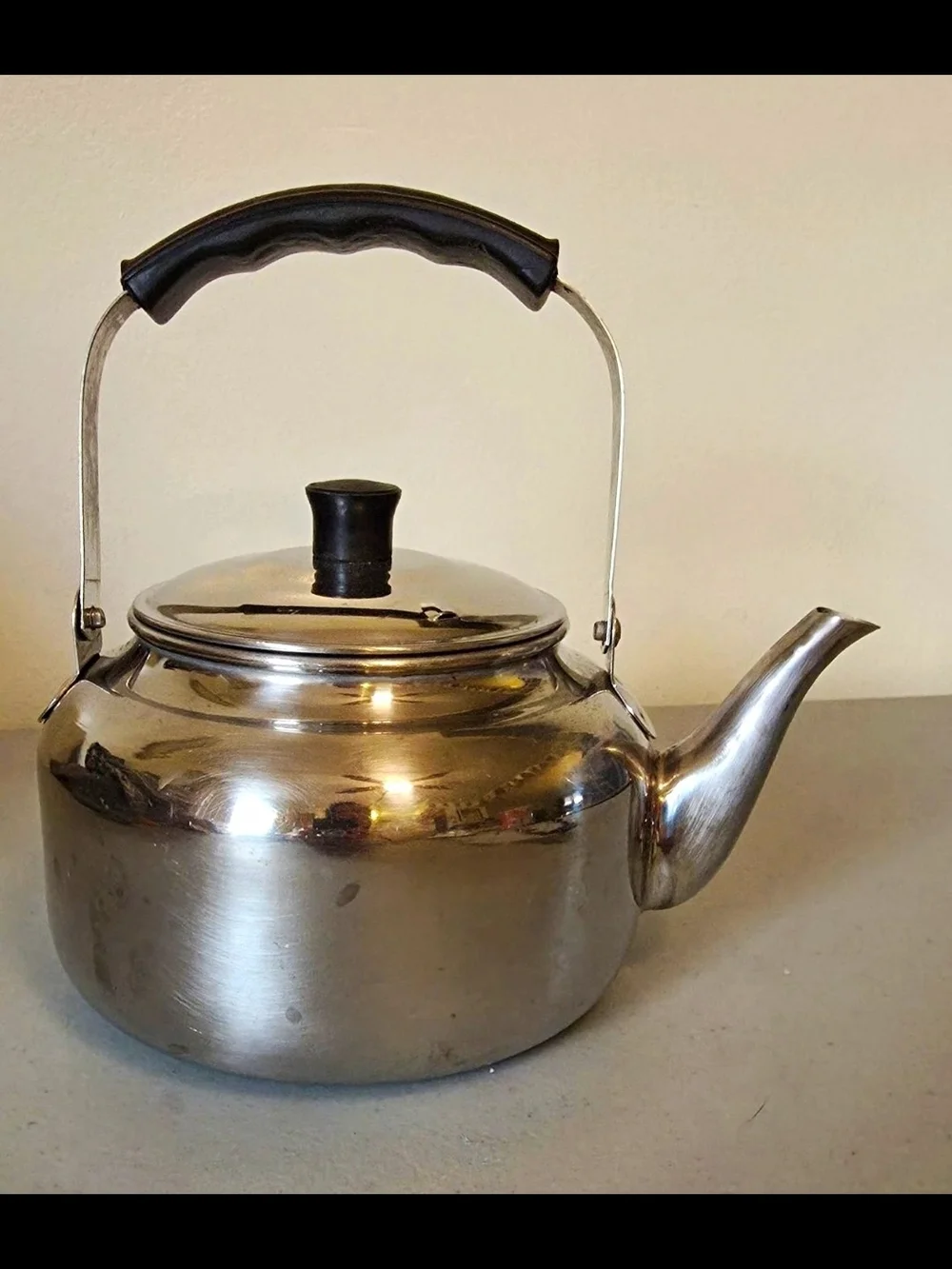 Stainless Steel Silver Teapot with Black Handle